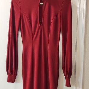 Forever 21 Burgundy Long Sleeve Dress